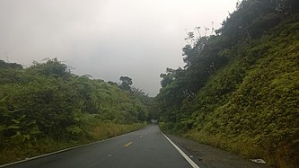 Puerto Rico Highway 184 in Muñoz Rivera