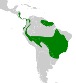 Distribución geográfica del mosquero colilargo.