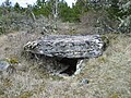 Dolmen di Bramonas, Causses de Lozère, Francia