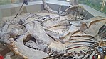 Reconstruction of steppe mammoth excavation site