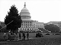 Planting of the 1964 Capitol Christmas Tree