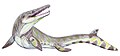 Goronyosaurus