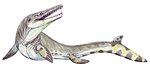 Горониозавр (Goronyosaurus)