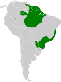 Distribución geográfica del tororoí pintado.