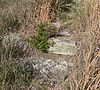 Gregory Buttes Stone Steps