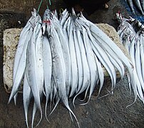 Exemplares á venda no Pelabuhan Ratu Fish Market, Sukabumi, Xava