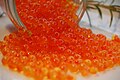 Salmon roe (red caviar)