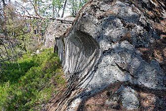 Kolartorps naturreservat