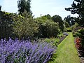 Flower bed in the Walled Garden