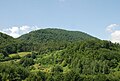 Top of the mountain Medvednik