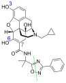 Minor metabolites: blue are glucuronidation sites, brown is the hydroxylation site, and green the cleavage site