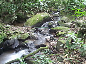 Stream on Morro do Spitzkopf