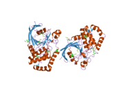 2hy3: Crystal structure of the human tyrosine receptor phosphate gamma in complex with vanadate