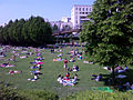 Vue de la pelouse du jardin de Reuilly.