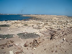 Ruins of the port city of Marea