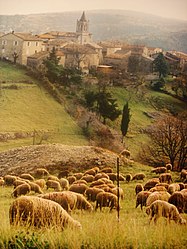 Saint-Andéol-de-Berg – Veduta