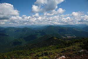 Фото заказника з г. Стримба на 2009 р.