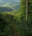 View from the end of Havešová towards the village of Topoľa (upper left)