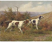 Hounds on the Scent