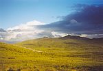 Upland, Falklandinseln