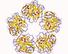 Image illustrative de l’article Pentraxine 2