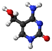 Ball-and-stick model of the 5-hydroxymethylcytosine molecule