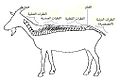 تصغير للنسخة بتاريخ 15:21، 29 أغسطس 2016