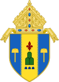 Archdiocese of Palo