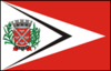 Flag of Tarumã