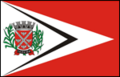 Bandeira de Tarumã