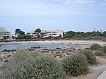 Bassa des Cabot (ses Salines)