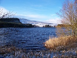 A lake with reeds in the foreground