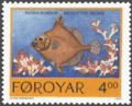 FR 249: Rútar kongur - false boarfish (Neocyttus helgae)