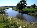 Die Taute zwischen Tribehou und Saint-André-de-Bohon