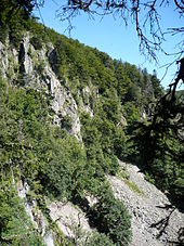 Pierrier au sentier des Roches