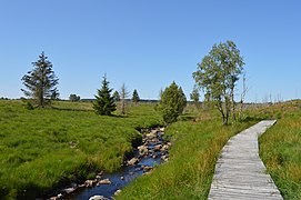 Wanderweg entlang der Hill