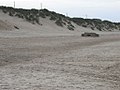 The beach at Hemsby