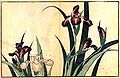 Iris de Hokusai (1832)