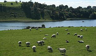 View from County Meath