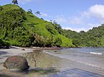 Tropical rainforest and a beach