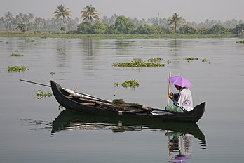 Barque indienne dans les backwaters du Kerala. (définition réelle 3 600 × 2 400)