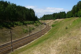 PKP rail line 401 running thru the Wolin National Park