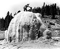 Lone Star Geyser, Yellowstone, 1878.