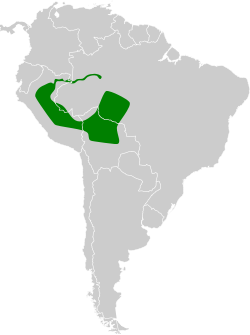 Distribución geográfica de la dormilona enana.