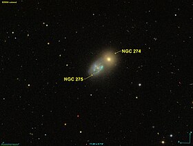 Image illustrative de l’article NGC 275