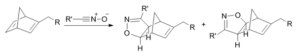 Cycloaddition between a norbornene and a nitrile oxide