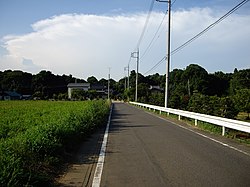 大山新田