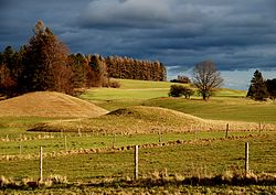 67. Platz: Boschfoto mit Drumlins auf dem Hirschberg in Pähl im FFH-Gebiet „Moränenlandschaft zwischen Ammersee und Starnberger See“