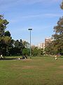 Vue du parc Saavedra.