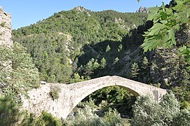 Pont dit de la Reine Jeanne à Saint-Benoît.